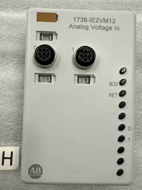 Cat.1738-ie2vm12 Allen 9725597 Allen-bradleyarmorpoint I/o Analog 2 Point Input Module