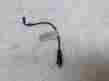 Cs-18p-qd Cs18pqd Adsens Tech Quick Disconnect Sensor