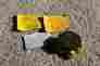 Ni40-cp80-y1 Turck Proximity Prox Switch Sensor Intrinsically Safe Is 40mm