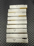 Wago 750-1504. Fixed Price $300.00.