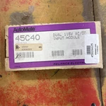 45C40 Reliance 115VAC/DC Dual Input Module Automate. Fixed Price $159.88.