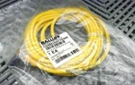 New Balluff C04BEH00TY050M Right Angle Tbe Cable. Fixed Price $22.98.
