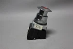 Siemens Red Illuminated Mushroom Head Push Pull Button 52PP2L2 W/52AAIL2. Fixed Price $99.99.