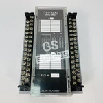 Allen Bradley 1791-32A0 /b Block I/o Input Module 1791-32AO (new Surplus). Fixed Price $1394.00.