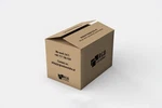 PCD2.C100 Saia - Refurbished 24 Months Warranty. Fixed Price $455.69.
