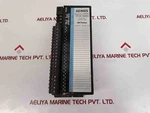 Fanuc Genius IC660BBD024 I/o Module IC660EBD024U 12-24 Vdc. Fixed Price $269.55.