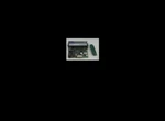 Escort Memory Systems CM1746 Rfid Module Datalogic. Fixed Price $899.99.