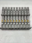 (10X) Pilz 314611 Pssu Bp-c 1/8 C-t Base For Electronic Modules, C-rail. Fixed Price $100.00.